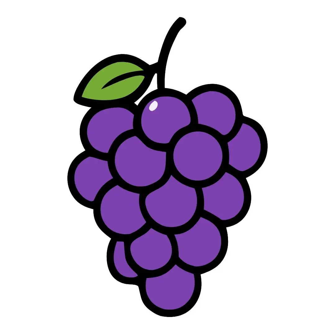 foto color - 2025-12-11T152900.655.jpg